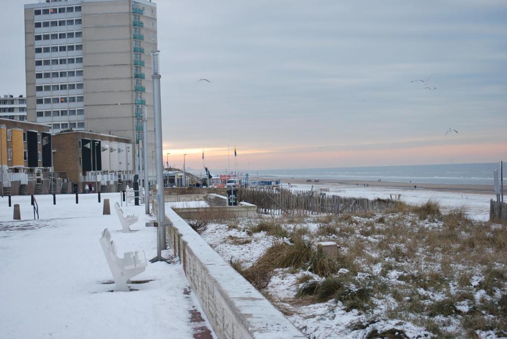 Appartement In Zandvoort Exterior foto